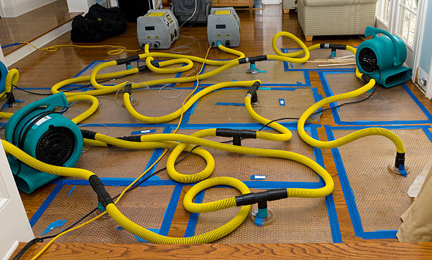 Professional Crawl Space Water Removal technician working in Blair, WI